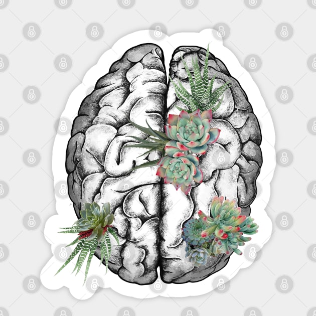 Brain human anatomy,succulents plants, mental Sticker by Collagedream